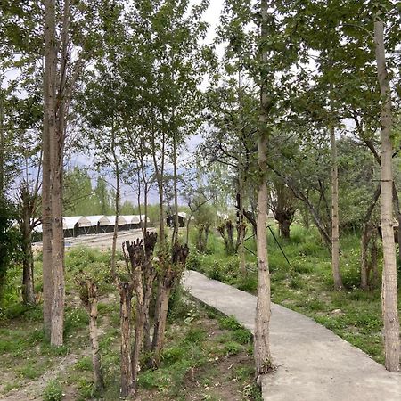 לה Ladakh Mountian Escape Camp By Lexstays מראה חיצוני תמונה